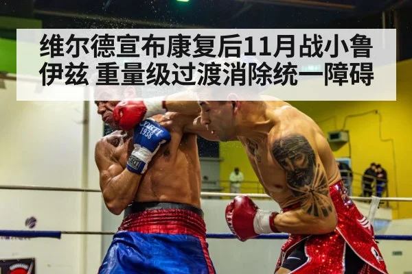 boxing knockout punch